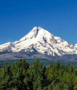 mount hood