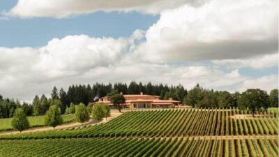 Oregon Vineyard